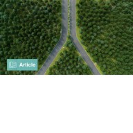 Defining Paths with Options-Based Index Strategies