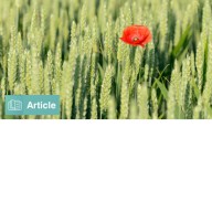 Heroes in Haystacks: Index Comparisons for Active Portfolio Performance