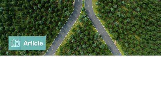 Defining Paths with Options-Based Index Strategies