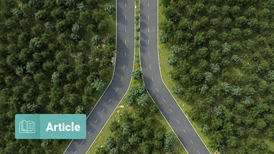 Defining Paths with Options-Based Index Strategies