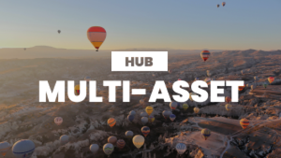 Multi-Asset Hub