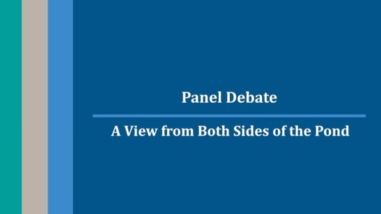 Panel Debate - A View from Both Sides of the Pond